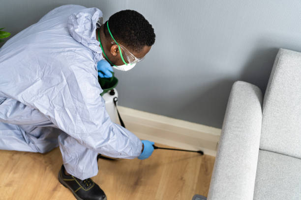 Best Pest Prevention Services  in Ellis, KS